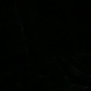 Meet your Posher, Claudia